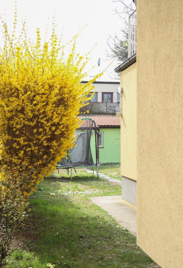 Small-comfy In Donaustadt Garden - Not Shared! * Wien